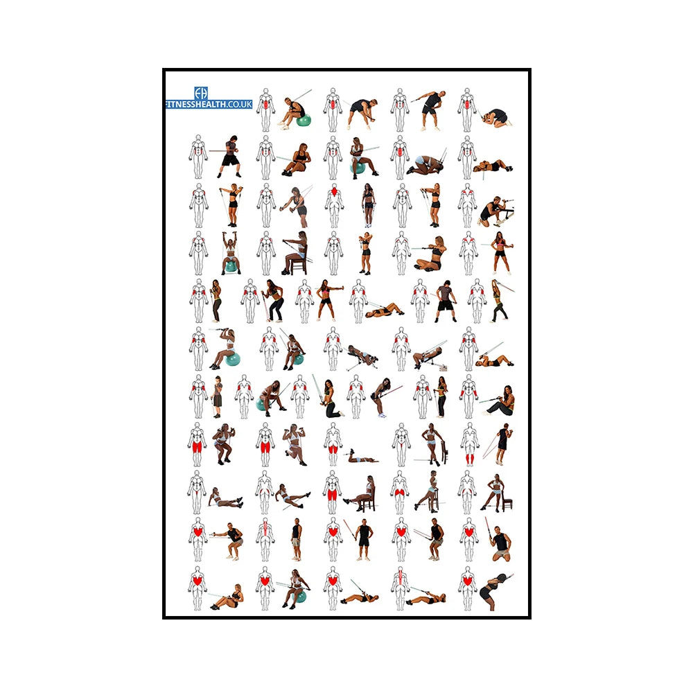 Gym Yoga Studio Workout Detailed Action Chart Pose Canvas Poster Bodybuilding Wall Art Painting Prints Home Room Decor Murals