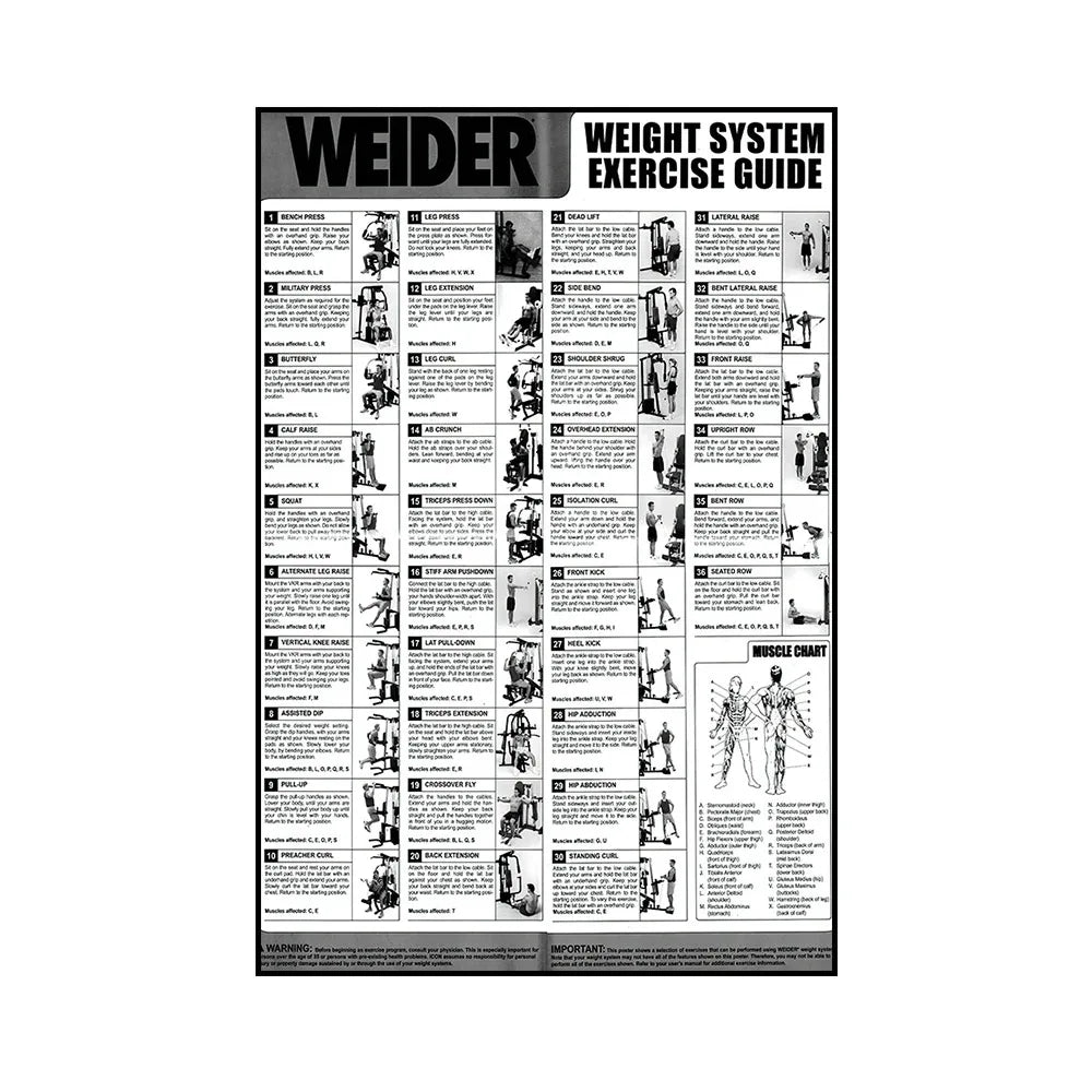Gym Yoga Studio Workout Detailed Action Chart Pose Canvas Poster Bodybuilding Wall Art Painting Prints Home Room Decor