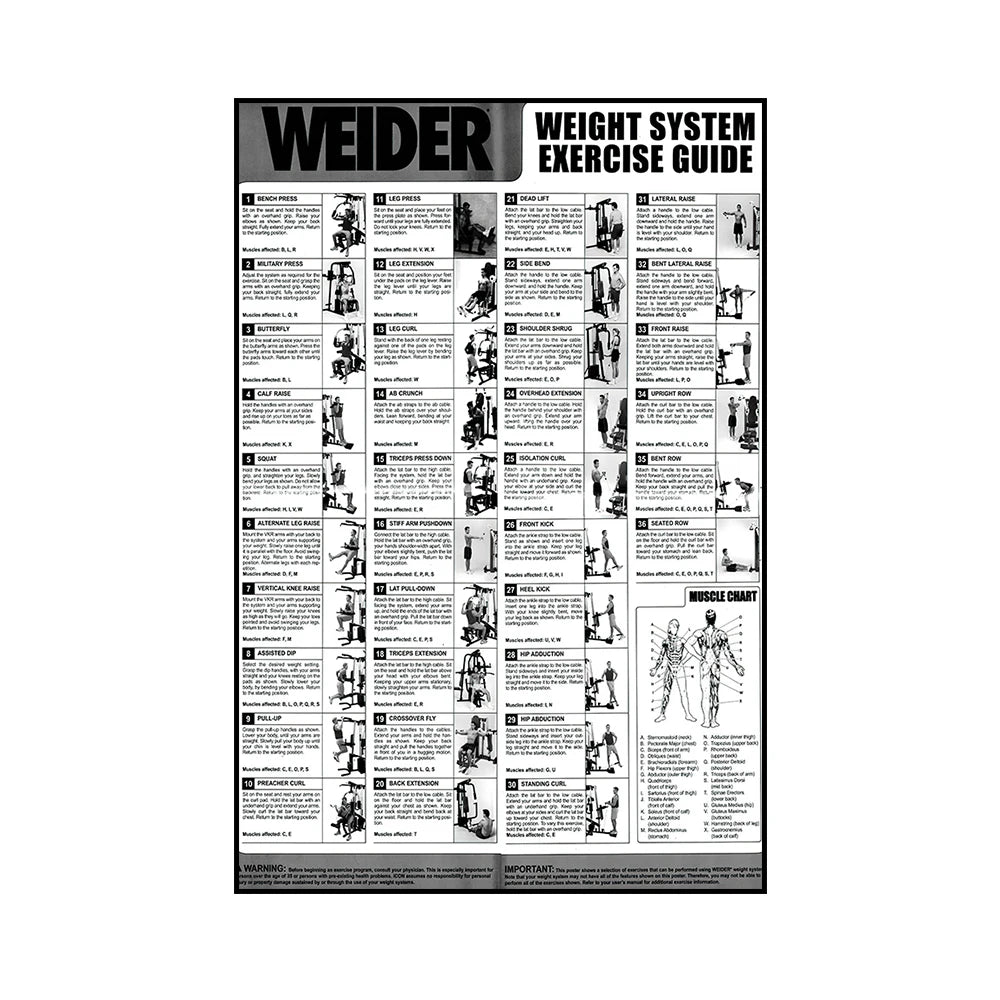Gym Yoga Studio Workout Detailed Action Chart Pose Canvas Poster Bodybuilding Wall Art Painting Prints Home Room Decor Murals